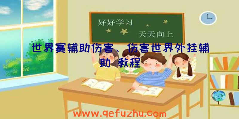 世界赛辅助伤害、伤害世界外挂辅助